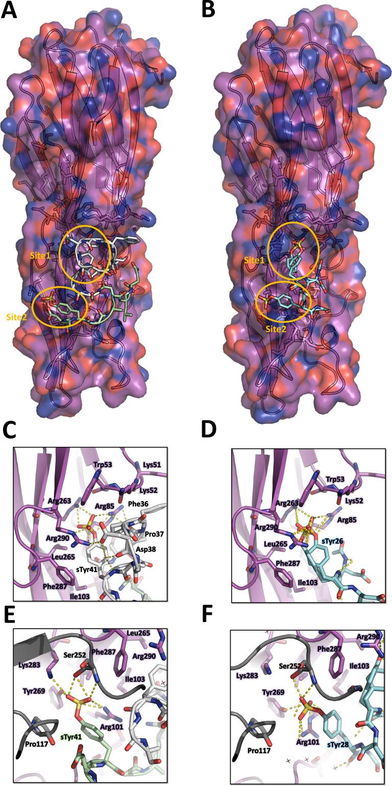 https://cdn.ncbi.nlm.nih.gov/pmc/blobs/b283/9005193/0770d920d375/elife-72555-fig4.jpg
