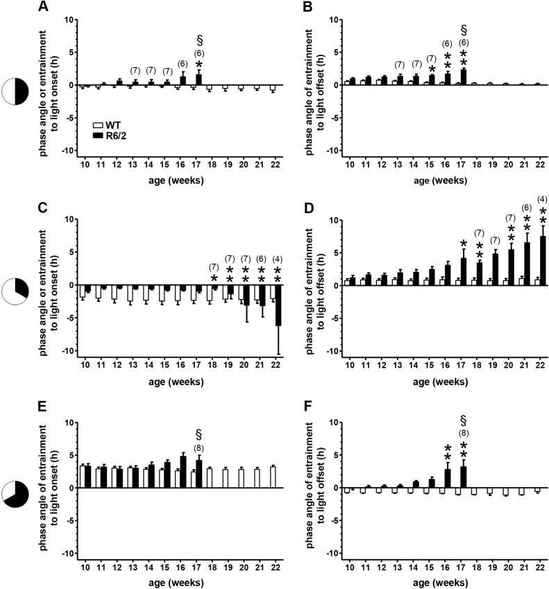 https://cdn.ncbi.nlm.nih.gov/pmc/blobs/b284/6575567/0ff55d0cfe8f/gr6.jpg