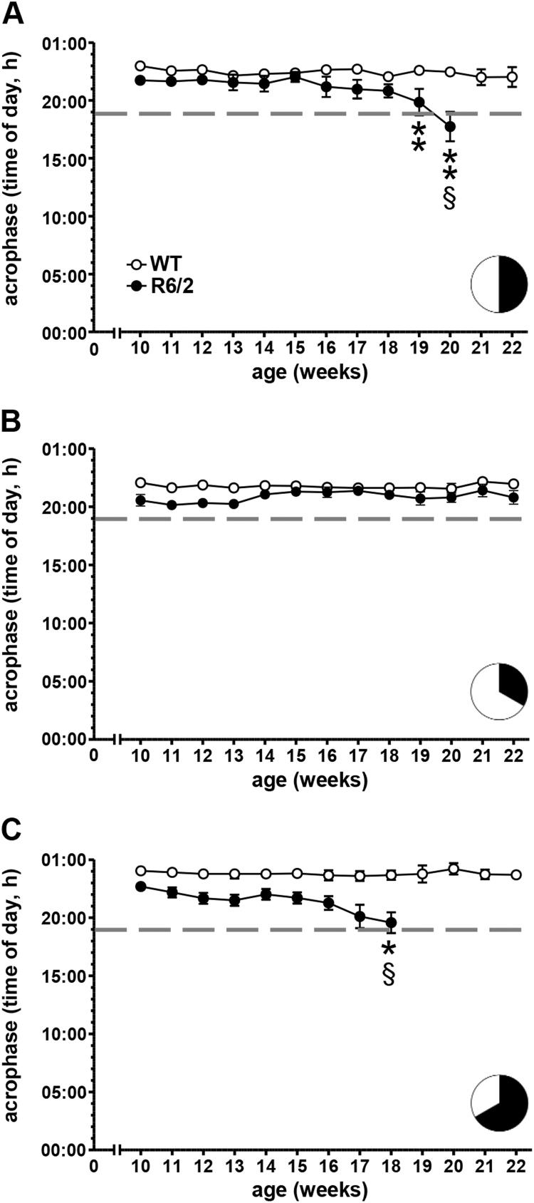 https://cdn.ncbi.nlm.nih.gov/pmc/blobs/b284/6575567/71fb863afc3f/gr8.jpg
