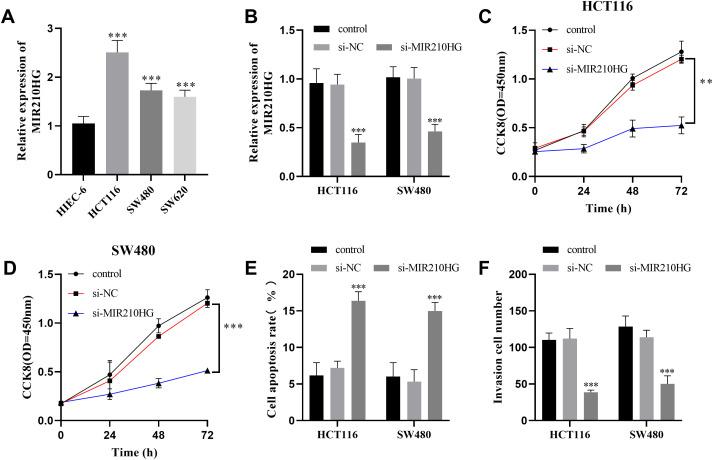 https://cdn.ncbi.nlm.nih.gov/pmc/blobs/b286/11639595/019646cc6b39/tjg-35-12-889_f003.jpg