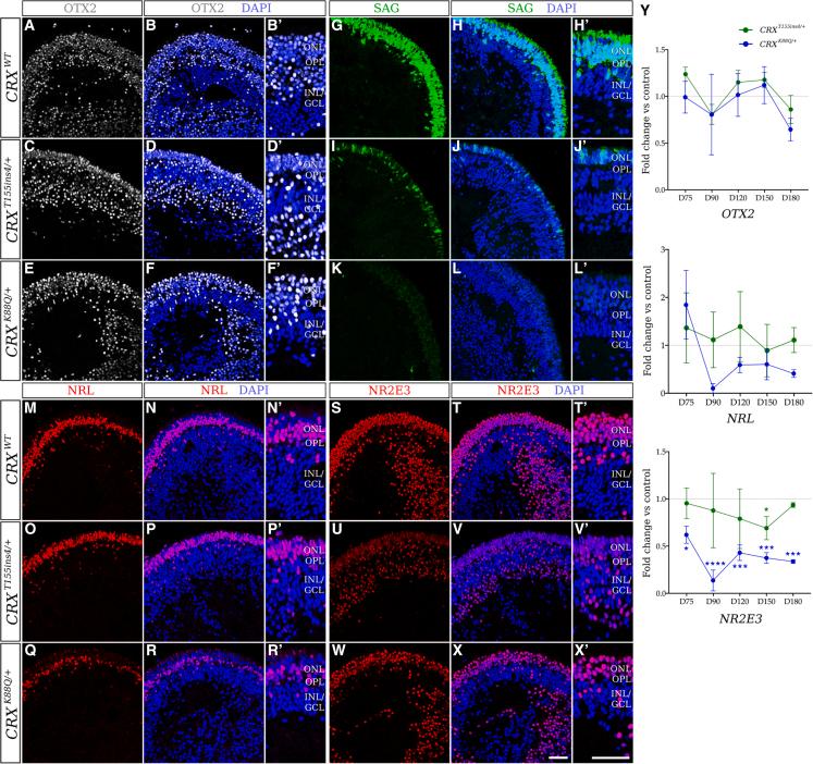 https://cdn.ncbi.nlm.nih.gov/pmc/blobs/b286/8580887/d8a24cbc2db7/gr4.jpg