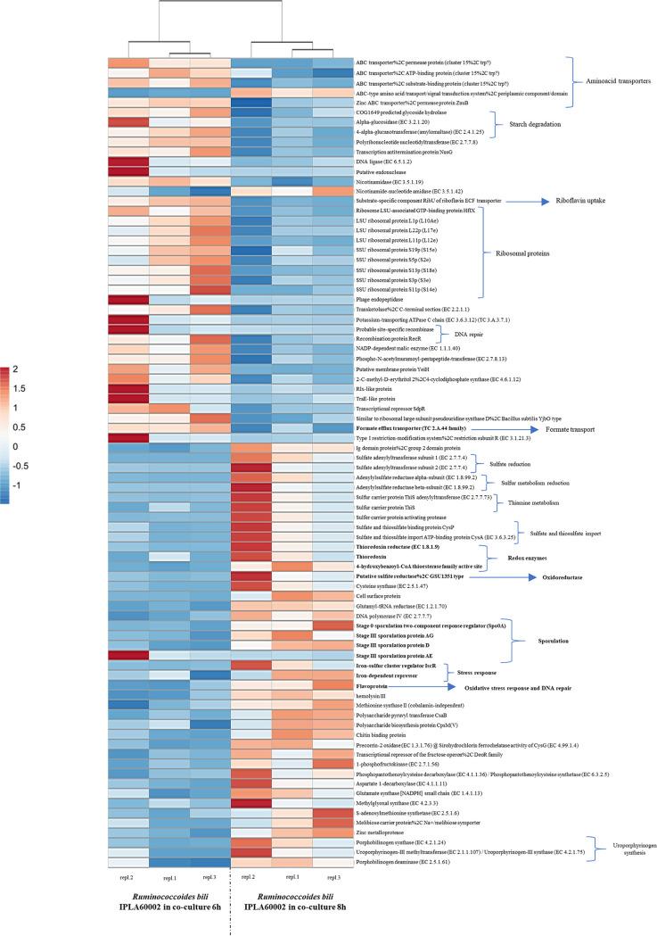 https://cdn.ncbi.nlm.nih.gov/pmc/blobs/b289/9431564/418867cf3af3/spectrum.02776-21-f004.jpg
