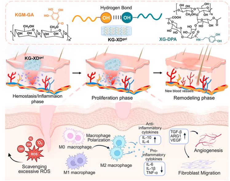 https://cdn.ncbi.nlm.nih.gov/pmc/blobs/b28e/12313959/27e7205e2f29/ga1.jpg
