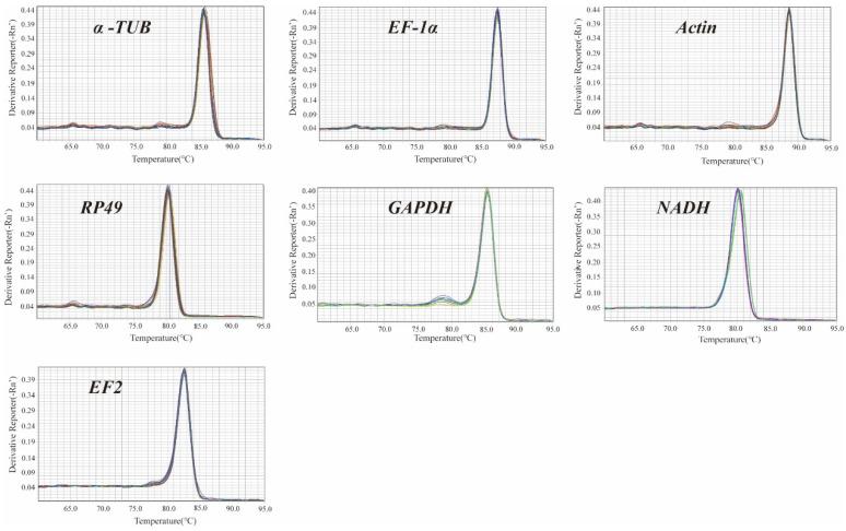 https://cdn.ncbi.nlm.nih.gov/pmc/blobs/b28f/11431952/99e77d2d33f2/insects-15-00668-g001.jpg