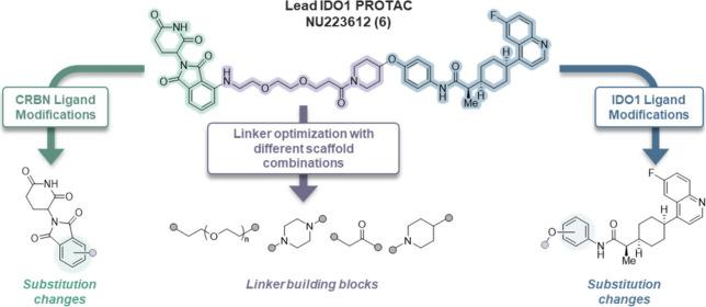 https://cdn.ncbi.nlm.nih.gov/pmc/blobs/b292/11874035/1286311bf7f3/jm5c00026_0004.jpg