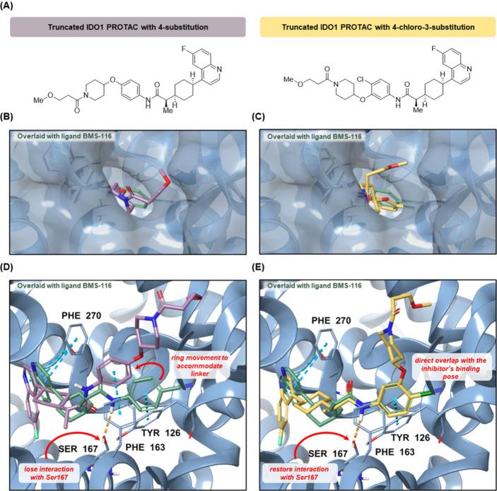 https://cdn.ncbi.nlm.nih.gov/pmc/blobs/b292/11874035/1f1a0b2a6d0a/jm5c00026_0003.jpg
