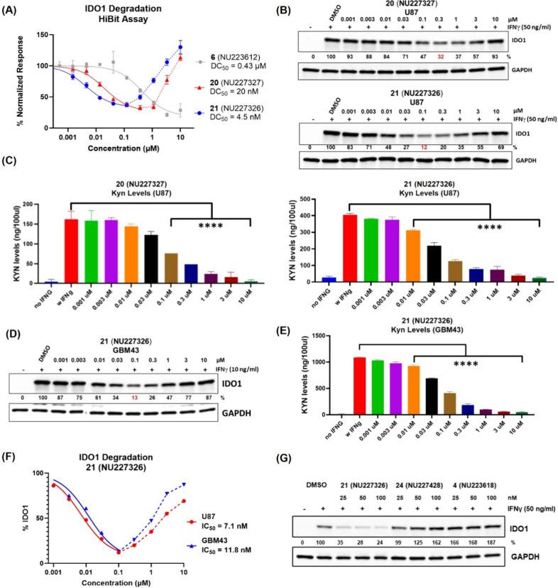https://cdn.ncbi.nlm.nih.gov/pmc/blobs/b292/11874035/25a39c04e09a/jm5c00026_0005.jpg