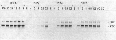 https://cdn.ncbi.nlm.nih.gov/pmc/blobs/b294/188097/83bc88d23bdd/aac00031-0250-a.jpg