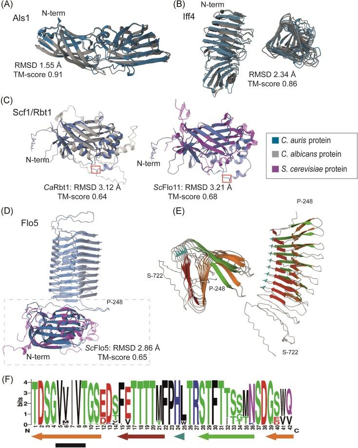 https://cdn.ncbi.nlm.nih.gov/pmc/blobs/b295/11657238/8d9df85757c7/foae039fig4.jpg