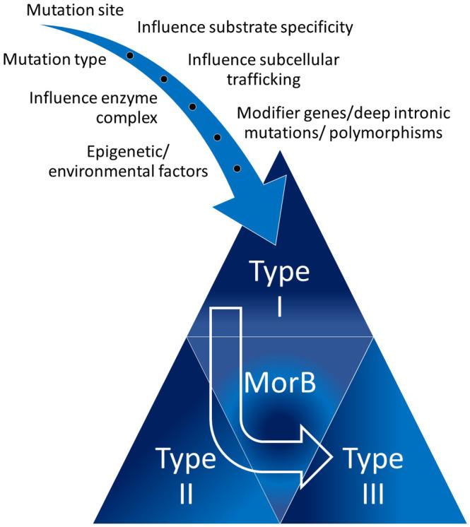 https://cdn.ncbi.nlm.nih.gov/pmc/blobs/b296/8100397/bad02ad07be3/JMD2-59-90-g002.jpg
