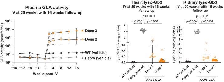 https://cdn.ncbi.nlm.nih.gov/pmc/blobs/b299/11646755/26a5bfffb642/gr7.jpg