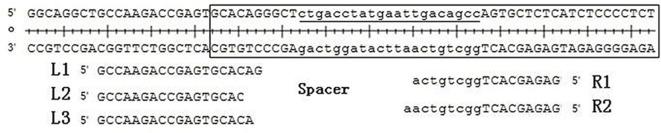 https://cdn.ncbi.nlm.nih.gov/pmc/blobs/b29a/5821941/0676b5722e85/bsr-38-bsr20171160-g1.jpg