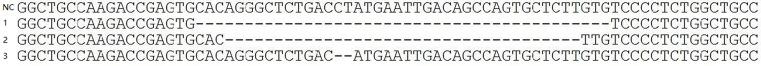 https://cdn.ncbi.nlm.nih.gov/pmc/blobs/b29a/5821941/99907cfcde2e/bsr-38-bsr20171160-g3.jpg