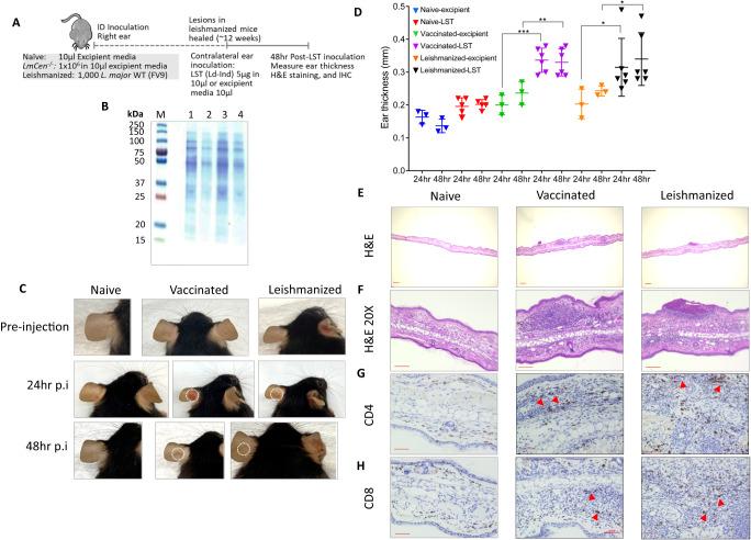 https://cdn.ncbi.nlm.nih.gov/pmc/blobs/b29c/10622560/2da38732156c/41467_2023_42732_Fig1_HTML.jpg