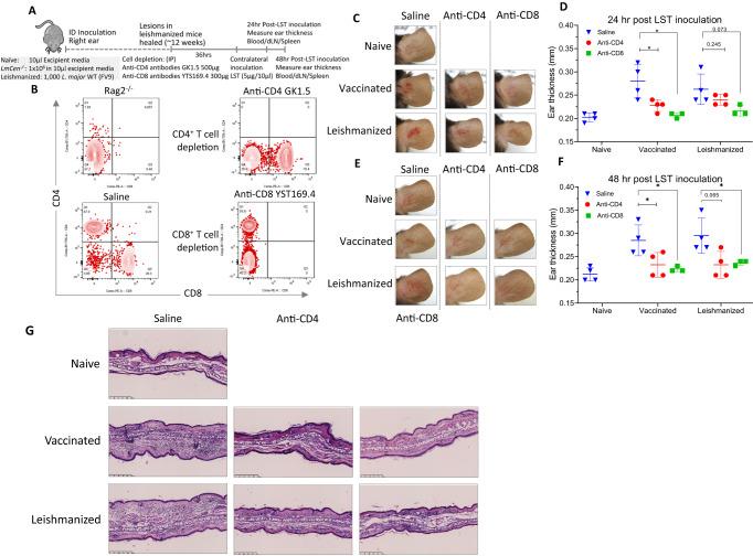 https://cdn.ncbi.nlm.nih.gov/pmc/blobs/b29c/10622560/45581c77bdec/41467_2023_42732_Fig2_HTML.jpg