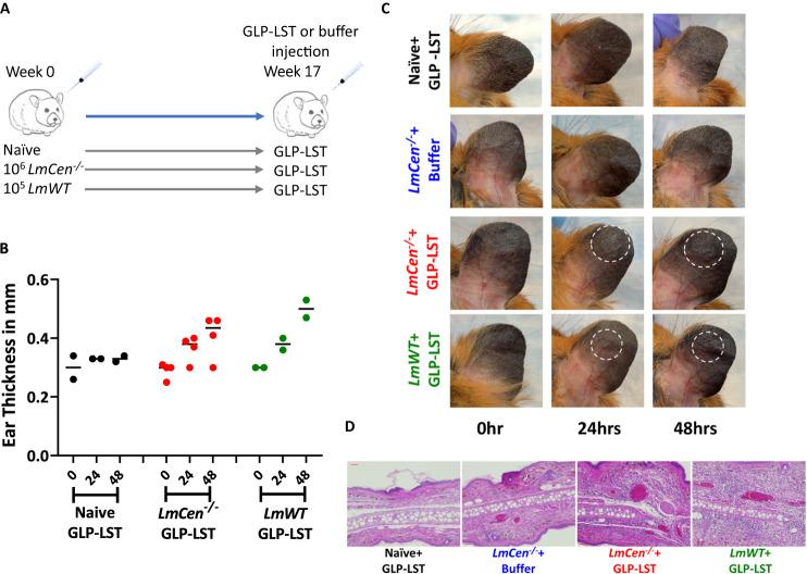 https://cdn.ncbi.nlm.nih.gov/pmc/blobs/b29c/10622560/84c86d27648b/41467_2023_42732_Fig6_HTML.jpg