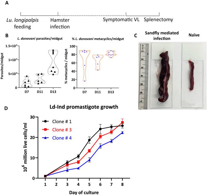 https://cdn.ncbi.nlm.nih.gov/pmc/blobs/b29c/10622560/9615dc829538/41467_2023_42732_Fig3_HTML.jpg