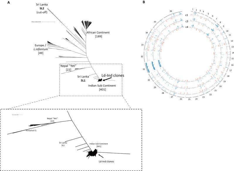 https://cdn.ncbi.nlm.nih.gov/pmc/blobs/b29c/10622560/d8e9c56a54db/41467_2023_42732_Fig4_HTML.jpg