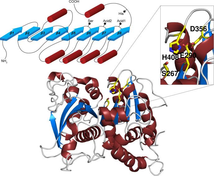 https://cdn.ncbi.nlm.nih.gov/pmc/blobs/b29d/10154605/02af862ca481/ebc-67-ebc20220155-g3.jpg