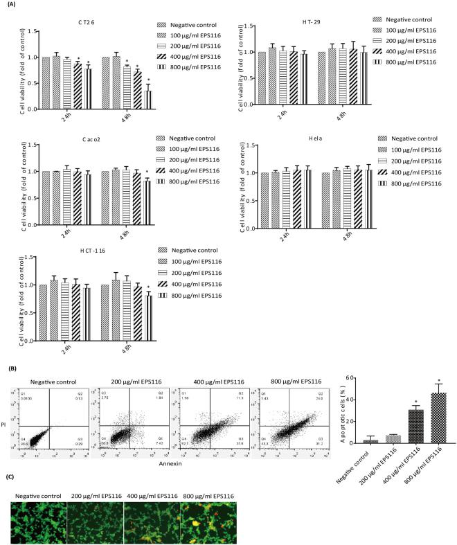 https://cdn.ncbi.nlm.nih.gov/pmc/blobs/b29d/5660251/04679d05c32d/41598_2017_14178_Fig2_HTML.jpg