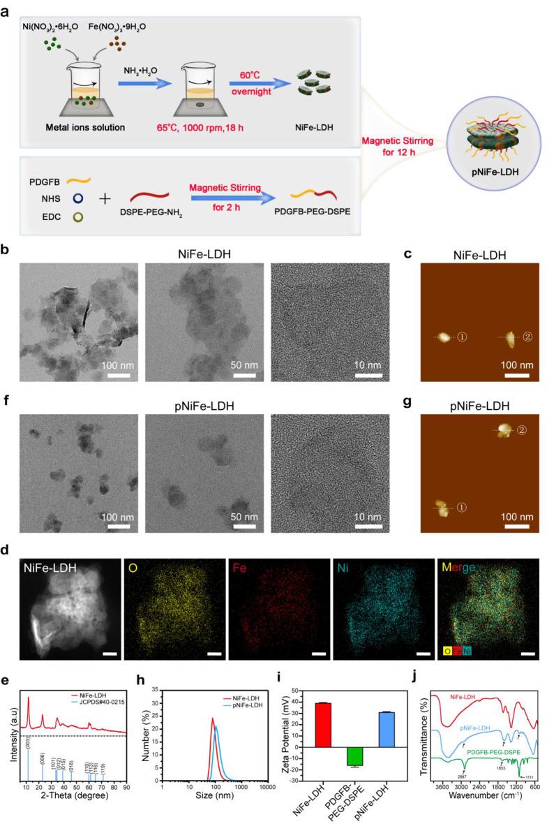 https://cdn.ncbi.nlm.nih.gov/pmc/blobs/b29e/12124052/9274a30942cd/12951_2025_3489_Fig1_HTML.jpg