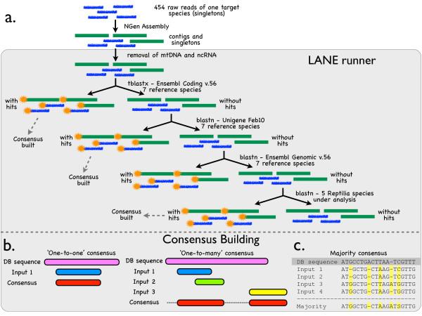 https://cdn.ncbi.nlm.nih.gov/pmc/blobs/b29e/3192992/3e295a240643/2041-9139-2-19-1.jpg