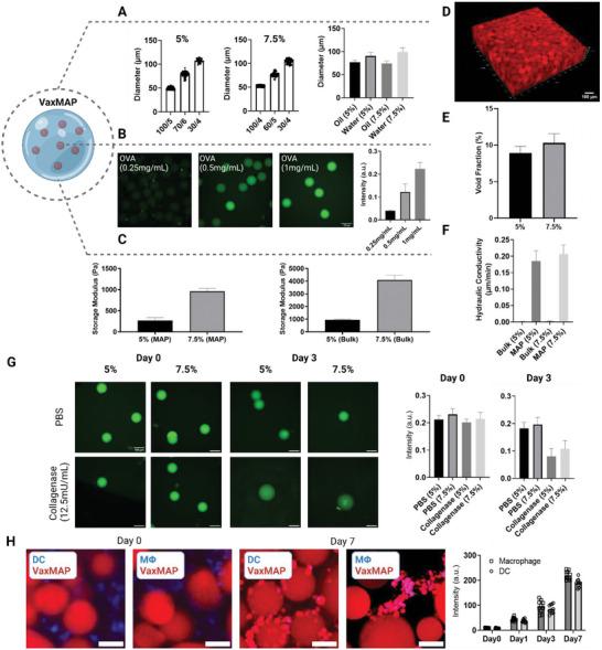 https://cdn.ncbi.nlm.nih.gov/pmc/blobs/b2a0/10625058/5f56e10f51e8/ADVS-10-2302248-g004.jpg