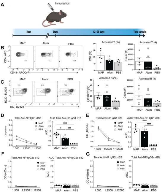 https://cdn.ncbi.nlm.nih.gov/pmc/blobs/b2a0/10625058/64393cde5eae/ADVS-10-2302248-g007.jpg