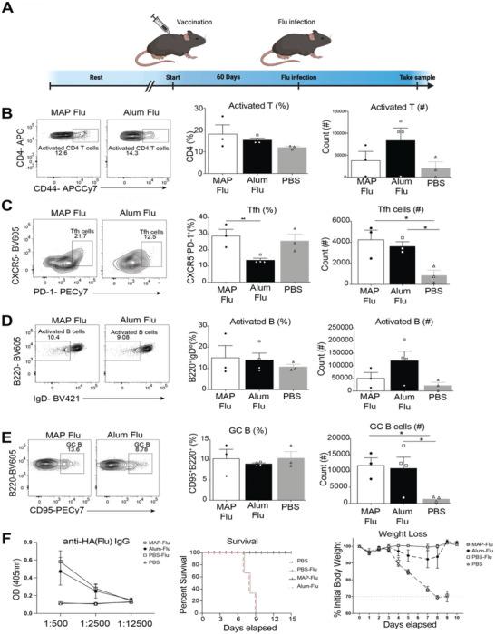 https://cdn.ncbi.nlm.nih.gov/pmc/blobs/b2a0/10625058/d82cbb7247f6/ADVS-10-2302248-g001.jpg