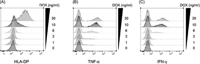 https://cdn.ncbi.nlm.nih.gov/pmc/blobs/b2a0/10751490/ace75dc90b39/2186-3326-85-0779-g006.jpg