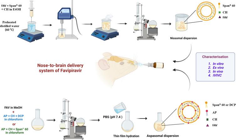 https://cdn.ncbi.nlm.nih.gov/pmc/blobs/b2a6/12105672/149c0709a087/IJN-20-6489-g0001.jpg