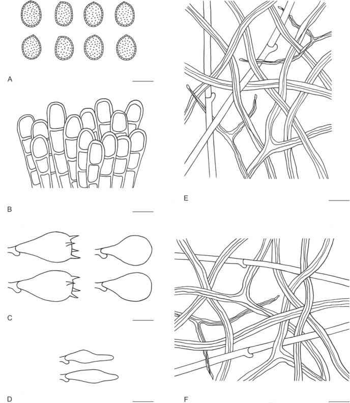 https://cdn.ncbi.nlm.nih.gov/pmc/blobs/b2a6/9365044/2b47d430bdca/ima-101-5-g070.jpg
