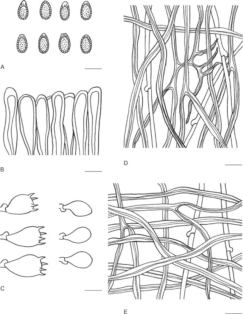 https://cdn.ncbi.nlm.nih.gov/pmc/blobs/b2a6/9365044/ae187ee37ae2/ima-101-5-g058.jpg