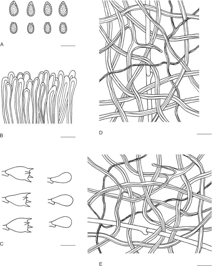 https://cdn.ncbi.nlm.nih.gov/pmc/blobs/b2a6/9365044/b8b2efd97ac0/ima-101-5-g032.jpg