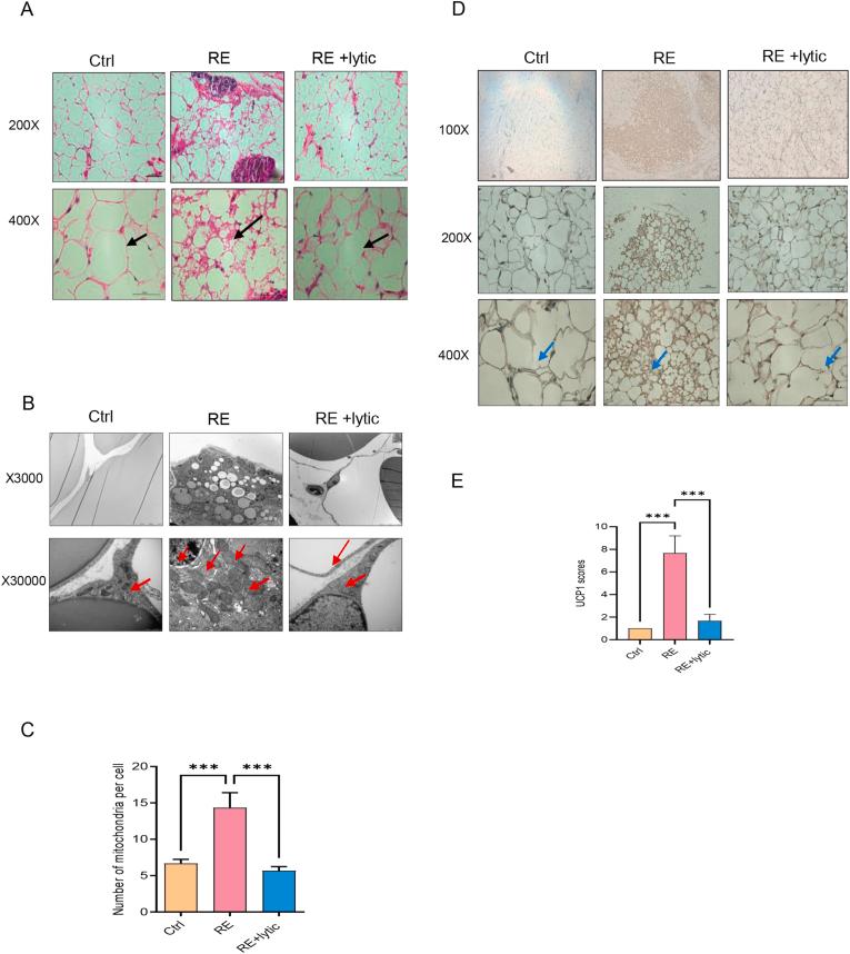 https://cdn.ncbi.nlm.nih.gov/pmc/blobs/b2a7/9280373/b5494253d9ab/gr5.jpg