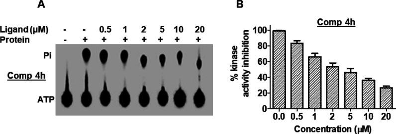 https://cdn.ncbi.nlm.nih.gov/pmc/blobs/b2aa/7495461/05a84a22e902/ao0c01703_0005.jpg