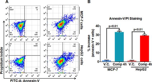 https://cdn.ncbi.nlm.nih.gov/pmc/blobs/b2aa/7495461/9d120d47c045/ao0c01703_0010.jpg