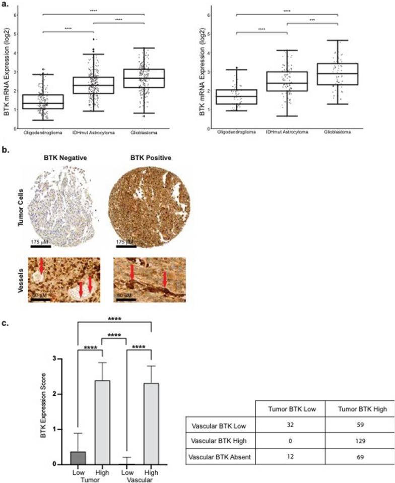 https://cdn.ncbi.nlm.nih.gov/pmc/blobs/b2ac/11003129/8212a88c784c/40478_2024_1763_Fig1_HTML.jpg