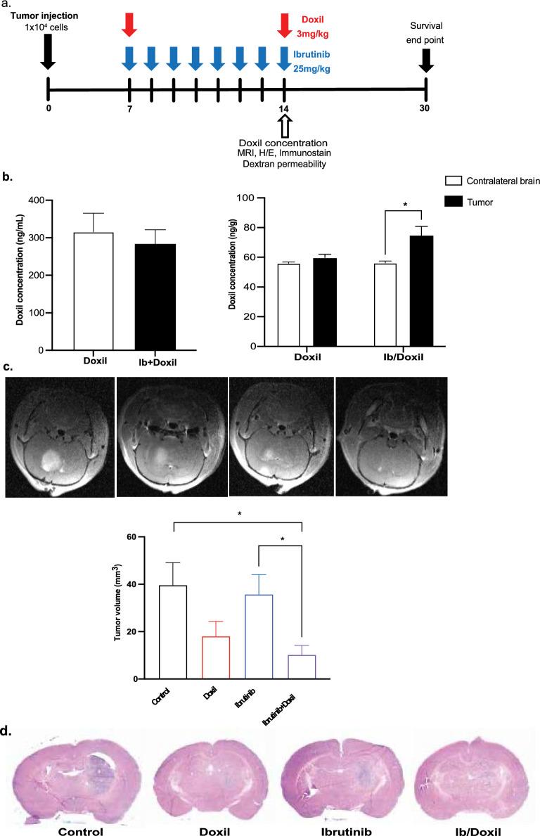 https://cdn.ncbi.nlm.nih.gov/pmc/blobs/b2ac/11003129/bb93dd12e9ee/40478_2024_1763_Fig4a_HTML.jpg