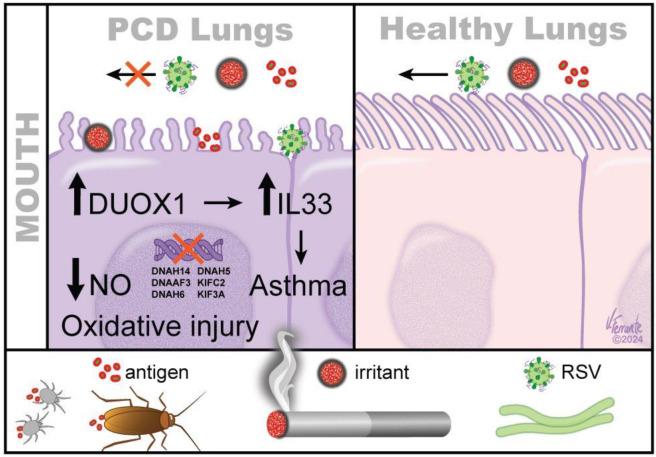 https://cdn.ncbi.nlm.nih.gov/pmc/blobs/b2ac/11432119/25d4ffc87db7/ijms-25-10043-g001.jpg