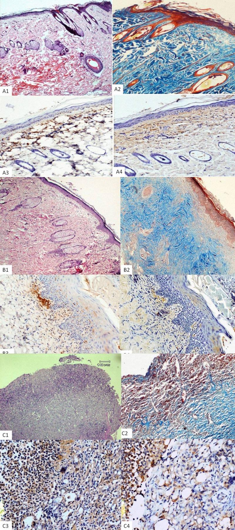 https://cdn.ncbi.nlm.nih.gov/pmc/blobs/b2ac/3983098/d1726d6c445a/medscimonitbasicres-20-36-g004.jpg