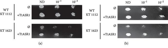 https://cdn.ncbi.nlm.nih.gov/pmc/blobs/b2ac/7013306/90b28d309d3b/BMRI2020-7876357.006.jpg