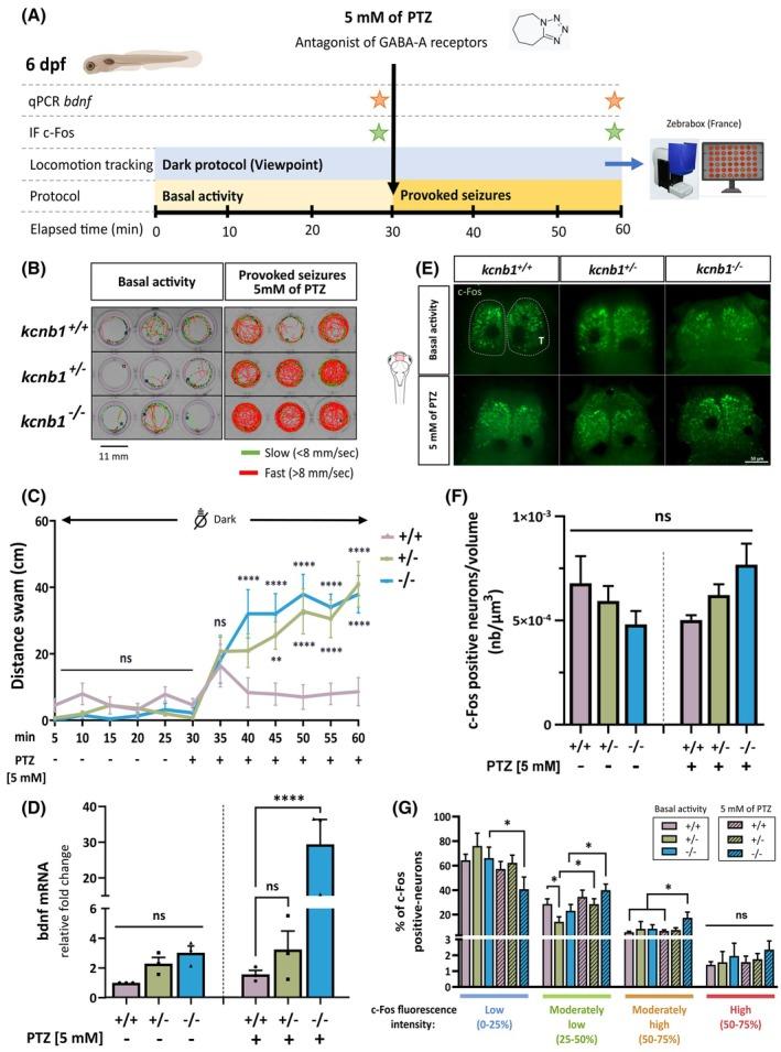 https://cdn.ncbi.nlm.nih.gov/pmc/blobs/b2b1/12371631/4c5430523650/EPI-66-3048-g005.jpg