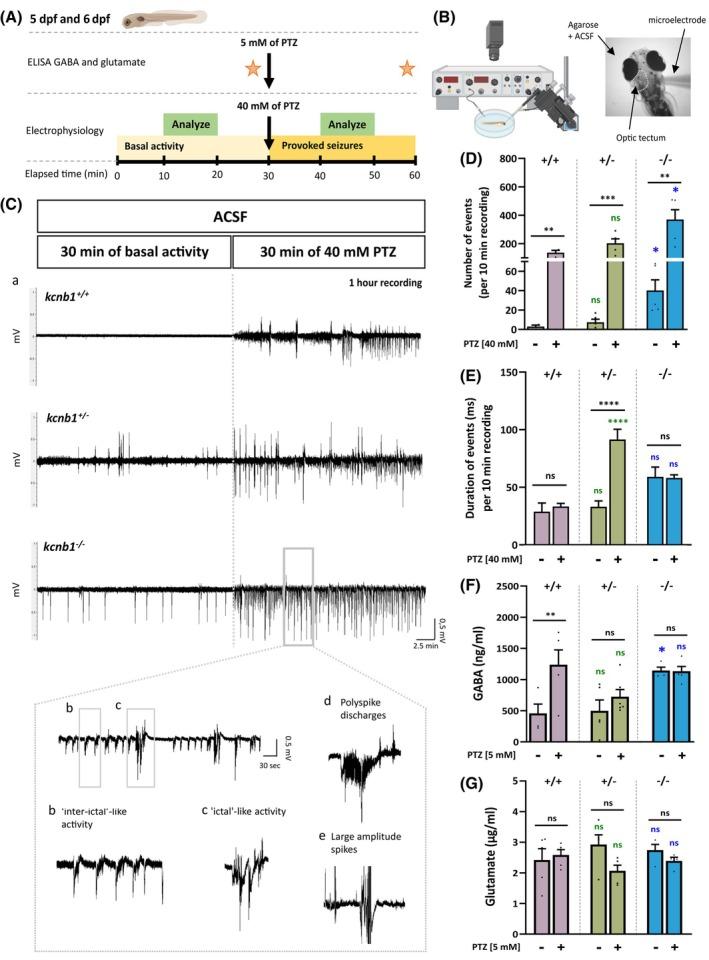 https://cdn.ncbi.nlm.nih.gov/pmc/blobs/b2b1/12371631/516bd8ada3bf/EPI-66-3048-g004.jpg