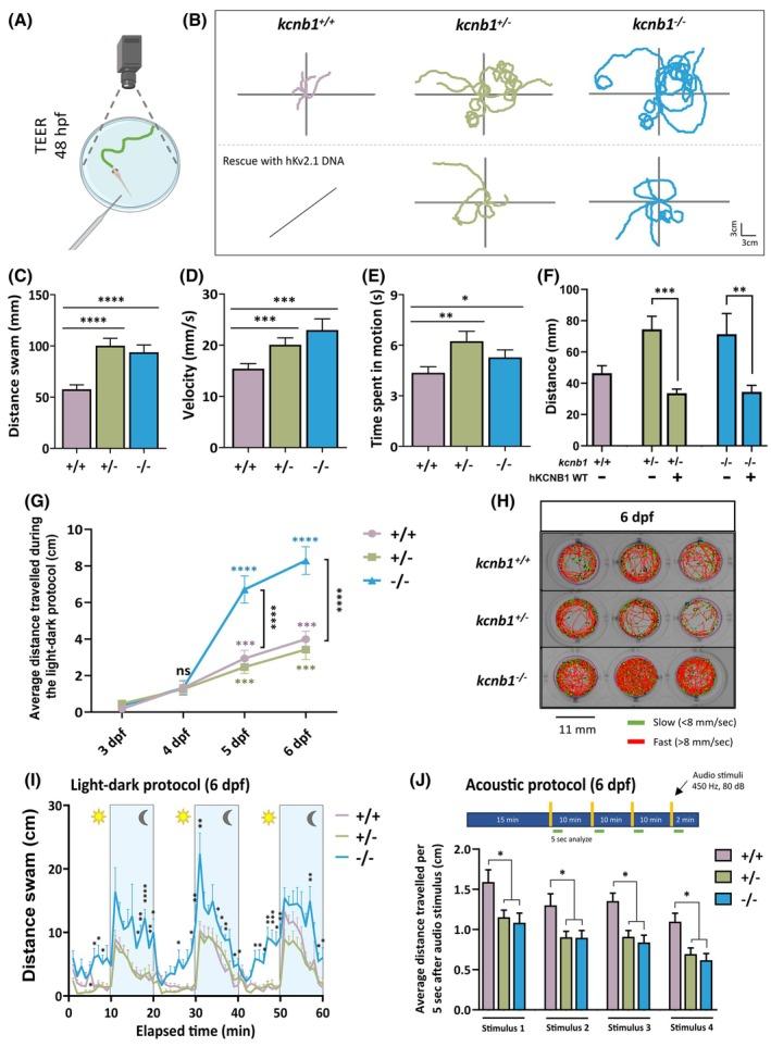 https://cdn.ncbi.nlm.nih.gov/pmc/blobs/b2b1/12371631/76a2c8eac1ae/EPI-66-3048-g001.jpg