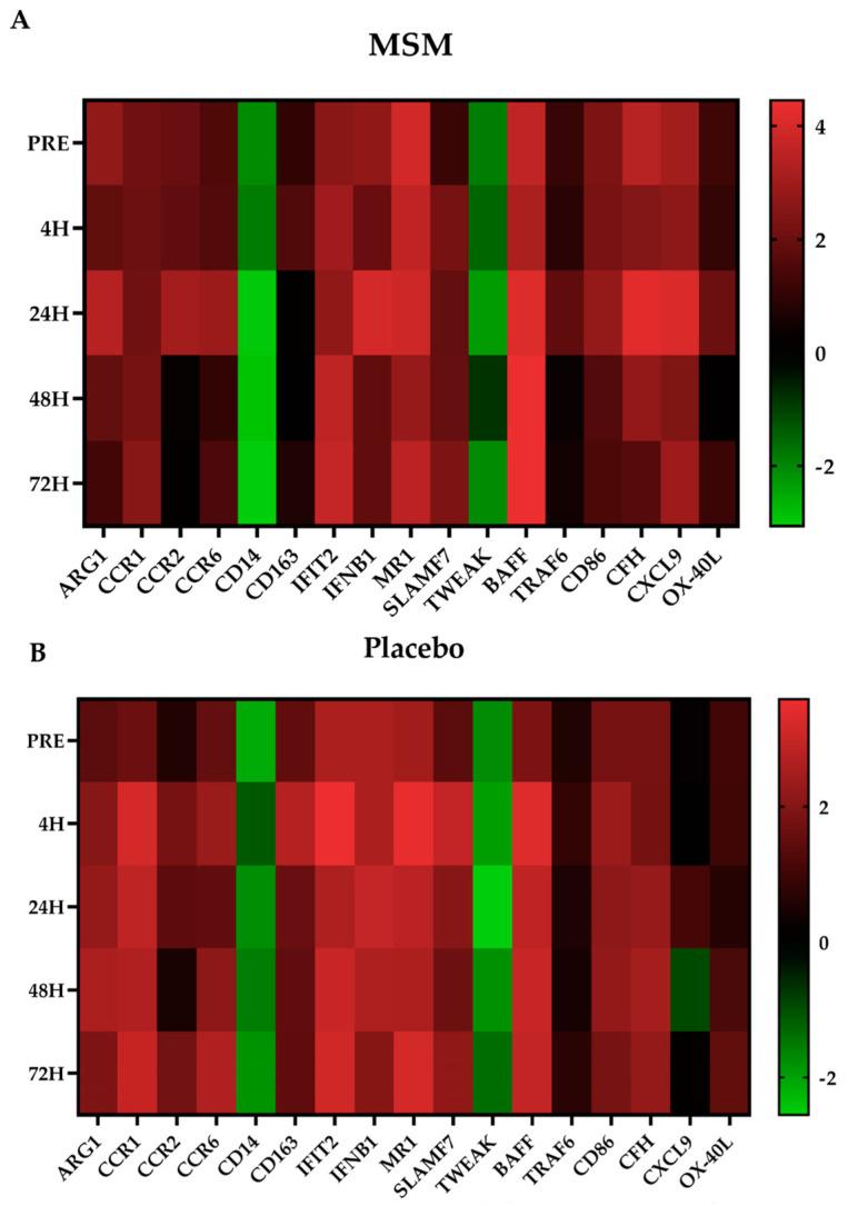 https://cdn.ncbi.nlm.nih.gov/pmc/blobs/b2b2/12225506/afc750529d67/muscles-02-00015-g004.jpg