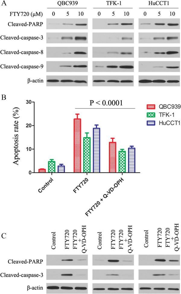 https://cdn.ncbi.nlm.nih.gov/pmc/blobs/b2b3/4221672/b8406aeda23b/12885_2014_4964_Fig2_HTML.jpg