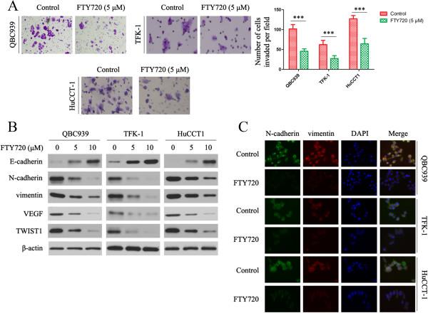 https://cdn.ncbi.nlm.nih.gov/pmc/blobs/b2b3/4221672/d72ac4a0c719/12885_2014_4964_Fig5_HTML.jpg
