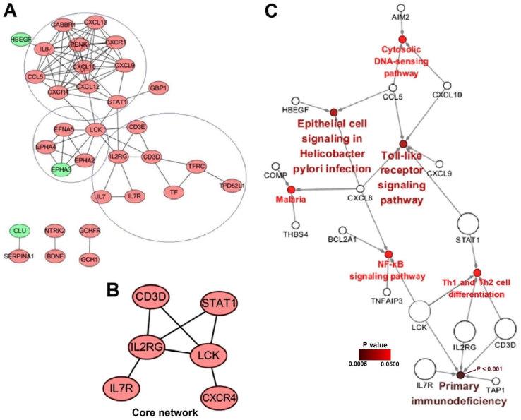 https://cdn.ncbi.nlm.nih.gov/pmc/blobs/b2b3/6297798/317bbc123026/MMR-19-01-0030-g01.jpg
