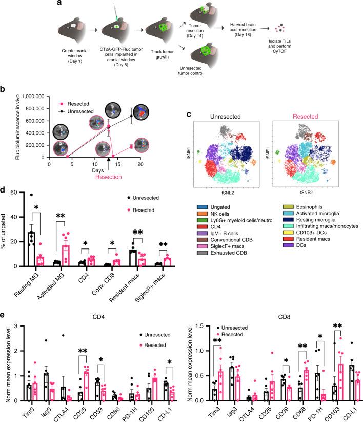 https://cdn.ncbi.nlm.nih.gov/pmc/blobs/b2b3/7411074/f6575a8ebee2/41467_2020_17704_Fig4_HTML.jpg